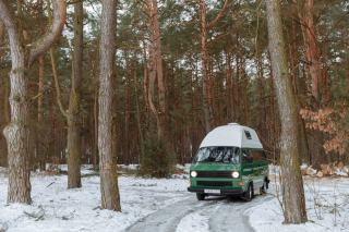 Burstner Delfin T695 : camping-car integral d'occasion