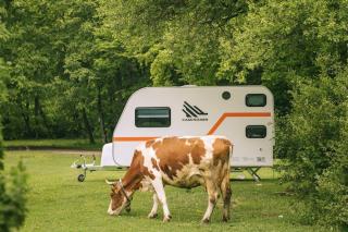 Camping-car capucine a Saint-Omer : vente dans le Nord