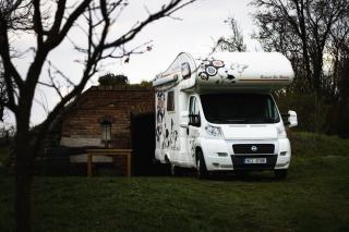 Dethleffs T7010-2 : camping-car integral d'occasion vente